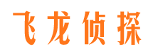 复兴市私家侦探